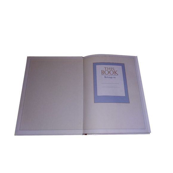 VTG The Children's Illustrated Bible Dorling Kindersley 1994 Child Bible - Picture 5 of 12